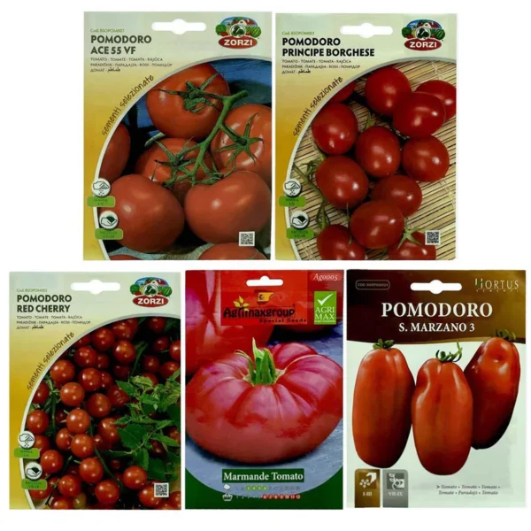 Tomato Mix | Seeds - Image 3