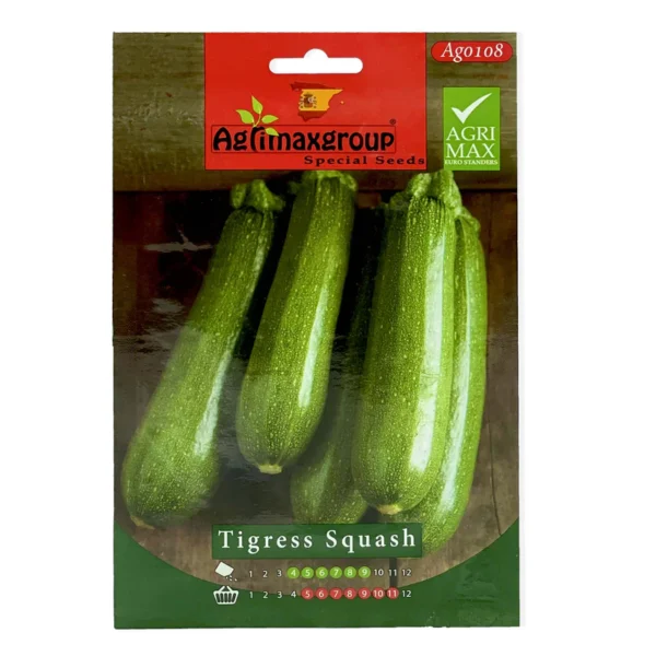 Tigress Squash | Seeds - Image 3