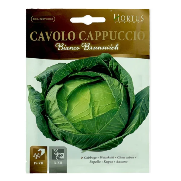 Capuccio Cabbage | Seeds - Image 2