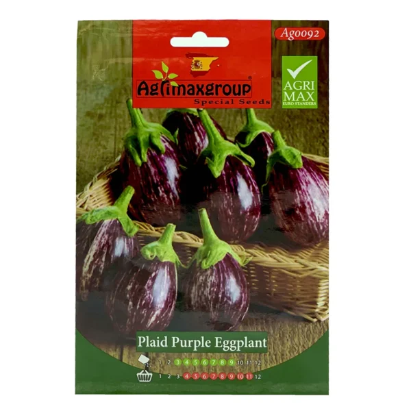 Purple Plaid Eggplant | Seeds - Image 3