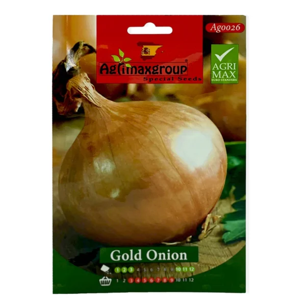 Onion | Seeds - Image 2