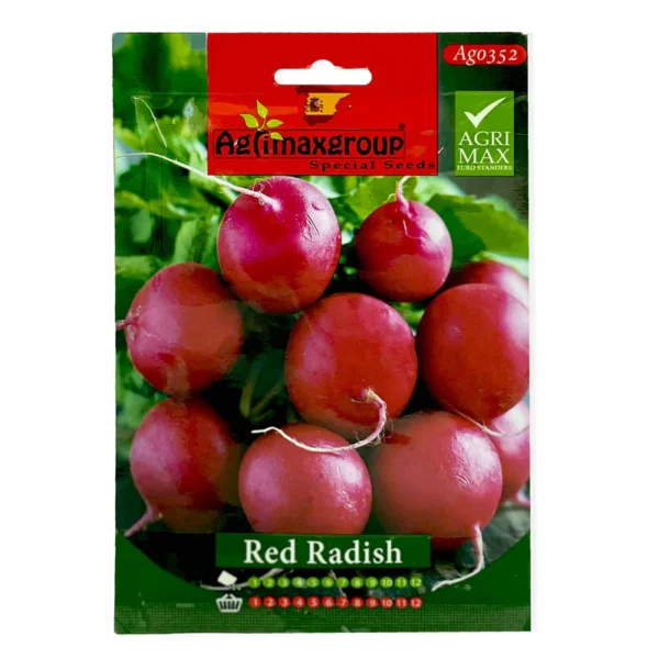 Red Radish | Seeds - Image 4