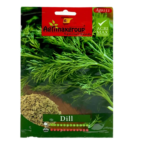 Dill | Seeds - Image 3