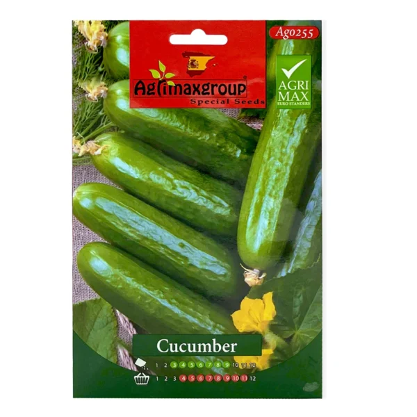 Cucumber | Seeds - Image 3