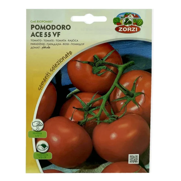 Ace Tomato | Seeds - Image 3