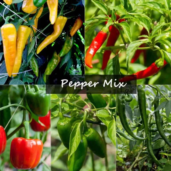 Pepper Mix | Seeds