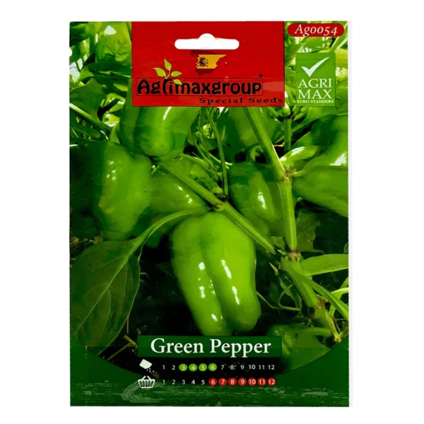 Green Pepper | Seeds - Image 3