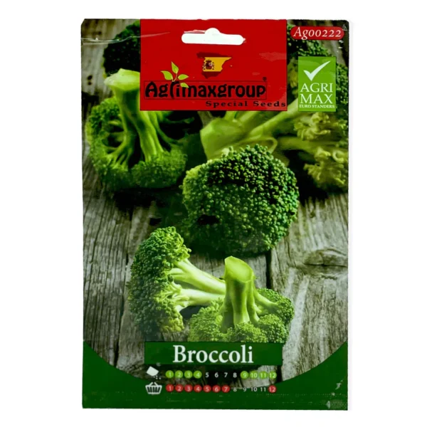 Broccoli | Seeds - Image 2