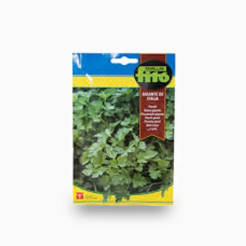 Parsley Gigante Italia Seeds 20g – Fito
