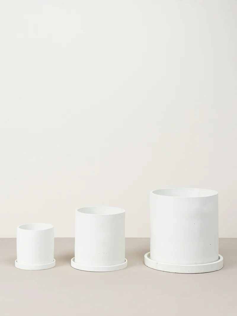 Quinn | White - Image 3