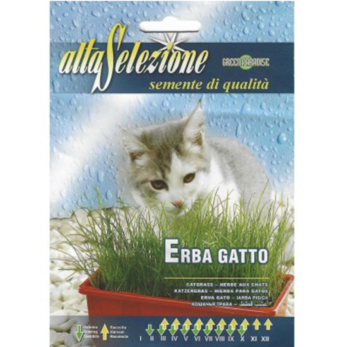 Grass for Cat “Erba Gatto” Seeds by Alta Selezione