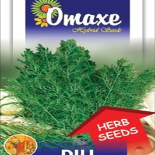 Dill Bio Organic Hybrid Seeds by Omaxe