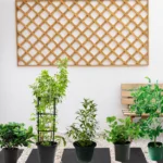 Flowering Plant Bundle