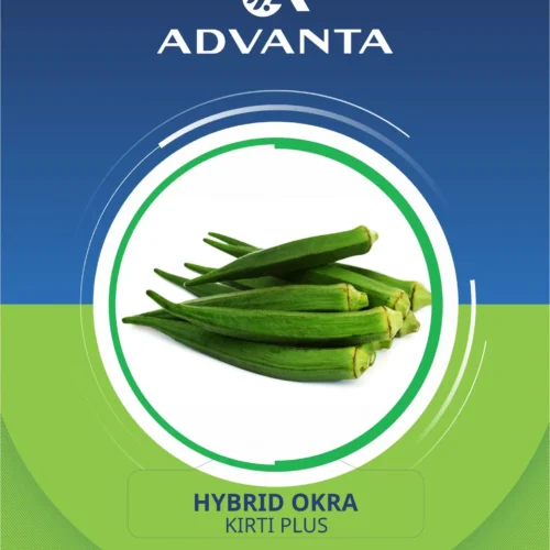 Kirti Plus Hybrid Okra Seeds 10g
