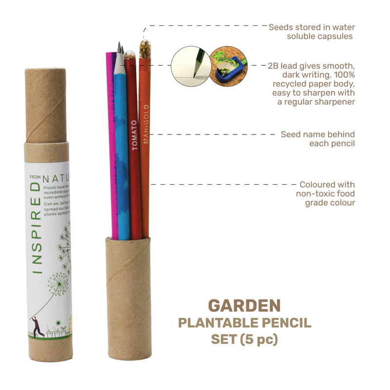 Seed Pencils Pack - Image 3