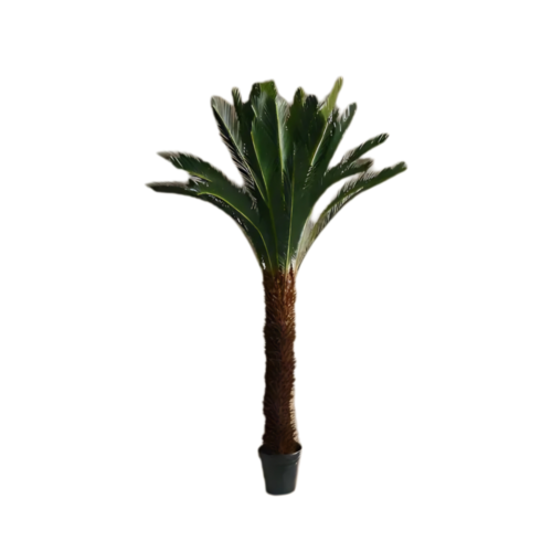 Artificial Cycas