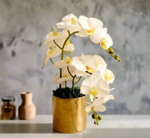 Artificial White Orchids